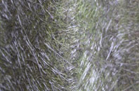 Beeford fibreglass roof work